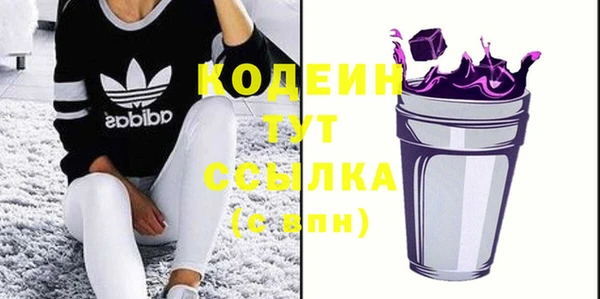 ГАЛЛЮЦИНОГЕННЫЕ ГРИБЫ Богданович