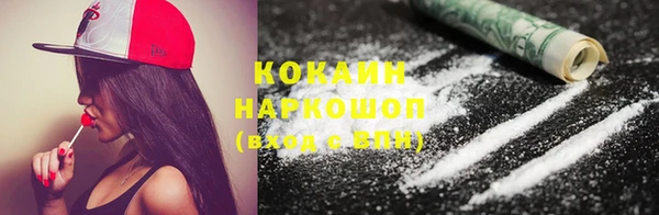 ГАЛЛЮЦИНОГЕННЫЕ ГРИБЫ Богданович