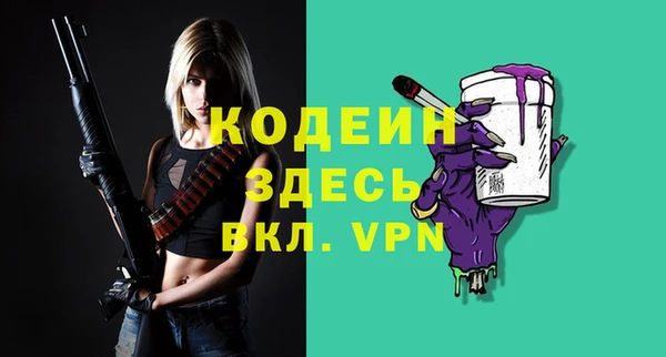 ГАЛЛЮЦИНОГЕННЫЕ ГРИБЫ Богданович
