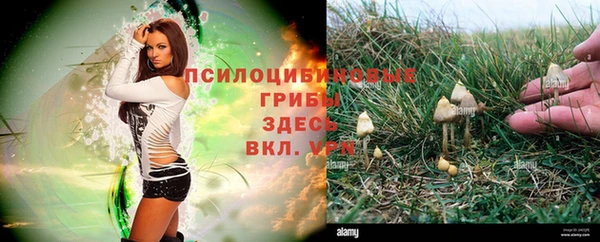 бутират Богородск