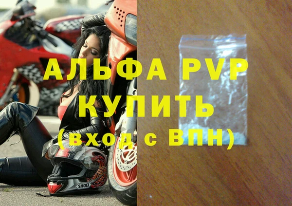 ГАЛЛЮЦИНОГЕННЫЕ ГРИБЫ Богданович