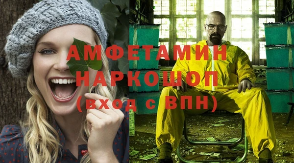 ГАЛЛЮЦИНОГЕННЫЕ ГРИБЫ Богданович